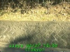 0302271332.jpg