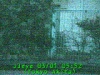 0303010552.jpg