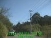 0303041118.jpg