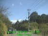 0303041158.jpg