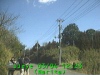 0303041223.jpg