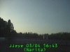 0303041643.jpg