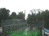 0303071225.jpg