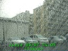 0303071405.jpg