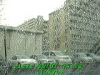 0303071410.jpg