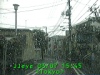 0303071545.jpg