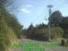 0303121110.jpg