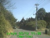 0303121130.jpg