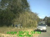 0303121352.jpg