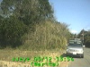 0303121354.jpg