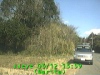 0303121359.jpg