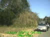0303121404.jpg