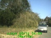 0303121409.jpg