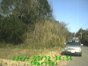 0303121434.jpg