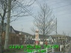 0304041229.jpg