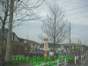 0304041244.jpg