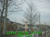 0304041249.jpg