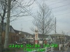 0304041259.jpg