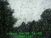 0304081603.jpg