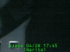 0304281745.jpg