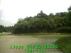 0304300850.jpg