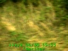 0304301553.jpg