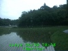 0304301818.jpg