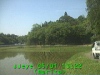 0305011322.jpg