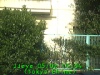 0305021534.jpg