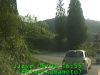 0305031655.jpg