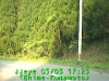 0305031725.jpg