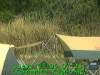 0305040723.jpg