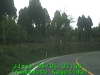 0305040748.jpg