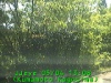 0305041308.jpg