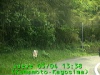 0305041338.jpg