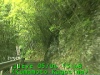 0305041348.jpg