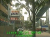 0305210940.jpg