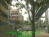 0305210955.jpg