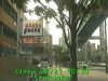 0305211030.jpg