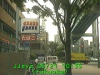0305211035.jpg