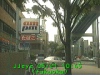 0305211045.jpg