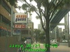 0305211110.jpg