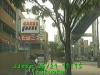 0305211115.jpg