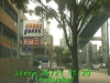 0305211120.jpg