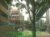 0305211125.jpg