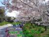 JJeye-201204011511.jpg