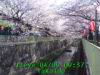JJeye-201204090941.jpg