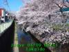 JJeye-201204090945.jpg