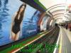 JJeye-201205070535.jpg