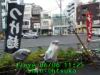 JJeye-201206061131.jpg